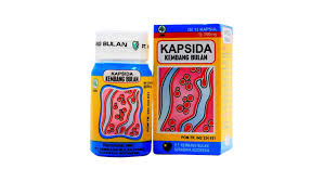 KAPSIDA HS